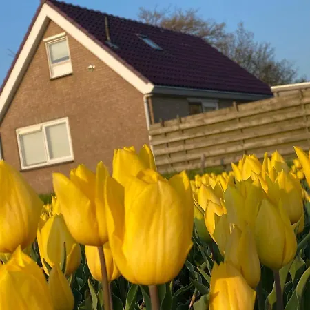 By Wenn Ferienhaus Den Helder